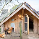 Ostseegarten Langholz - Silbermoewe Bis 6 Pers Waabs