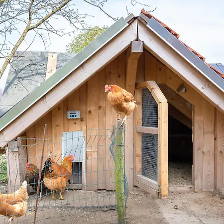 Ostseegarten Langholz - Silbermoewe Bis 6 Pers Waabs